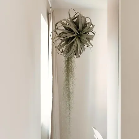 Floristeria By Quokka 360 - A Stone's Throw From The Walled Of קומו