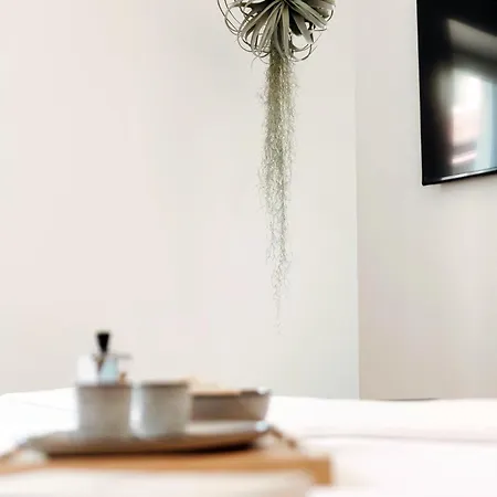 Apartment Floristeria By Quokka 360 - A Stone's Throw From The Walled Of Como